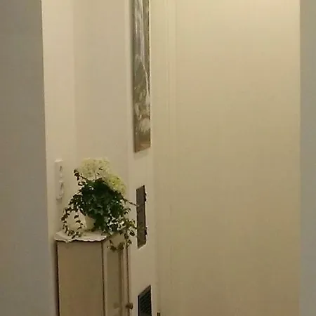 Apartment Ferienwohnung Schneider